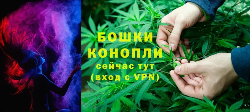 Бошки марихуана LSD WEED  блэк спрут как зайти  Гурьевск  купить наркотики сайты 